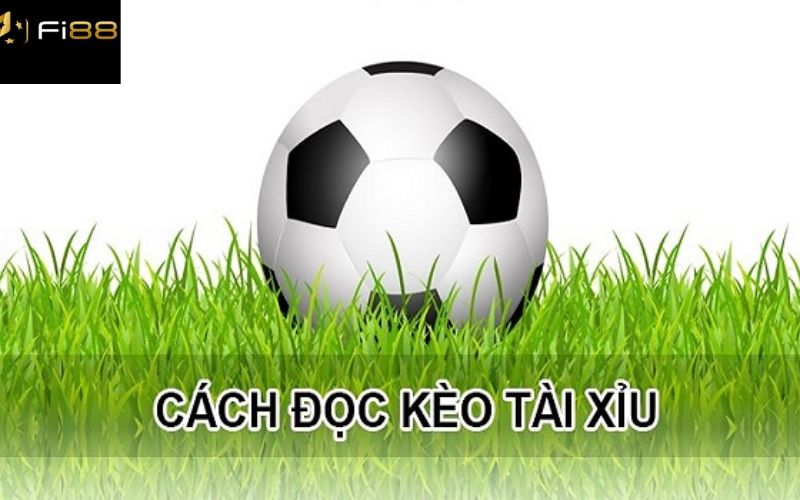 Các cách đọc kèo tài xỉu bóng đá và kinh nghiệm chơi